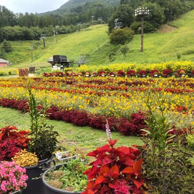 ノルンみなかみフラワーガーデン