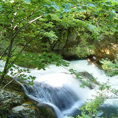 照葉峡(てりはきょう)